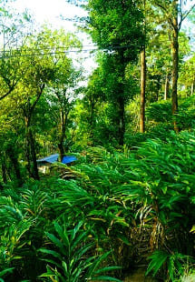 Green Land Spices Supermarket 